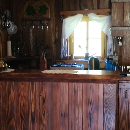 Vacation House Spiritus Flumine Netretic エクステリア 写真