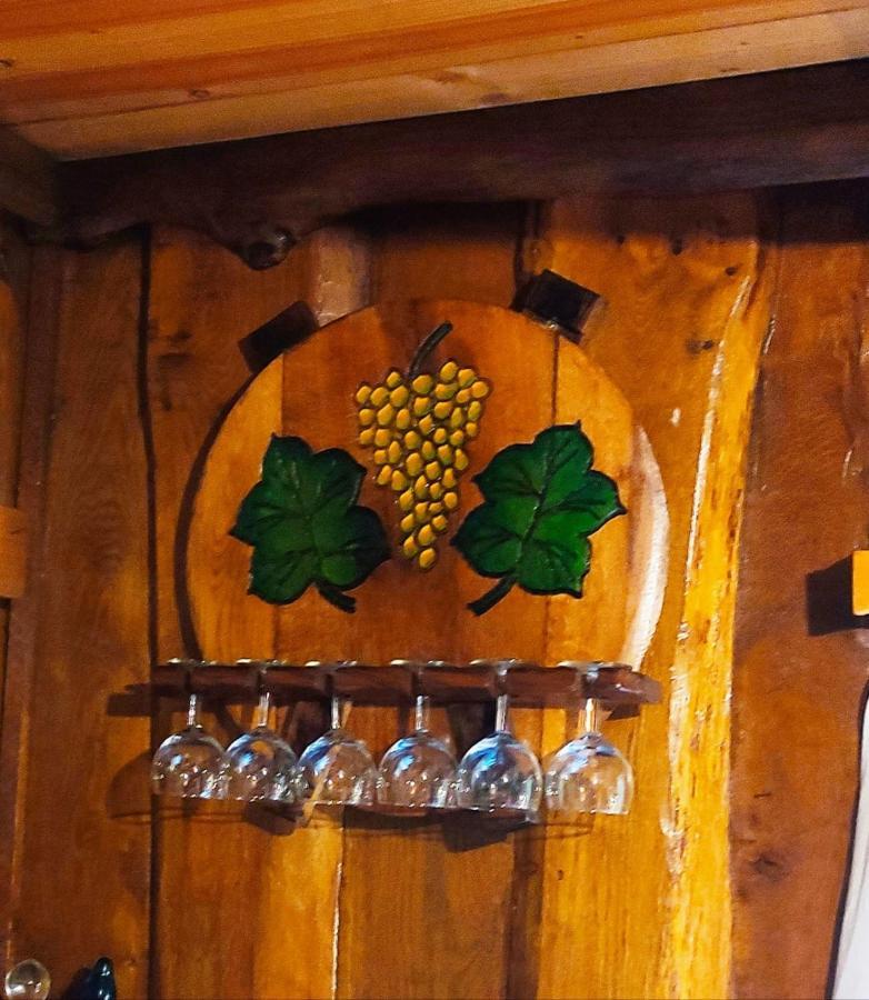 Vacation House Spiritus Flumine Netretic エクステリア 写真