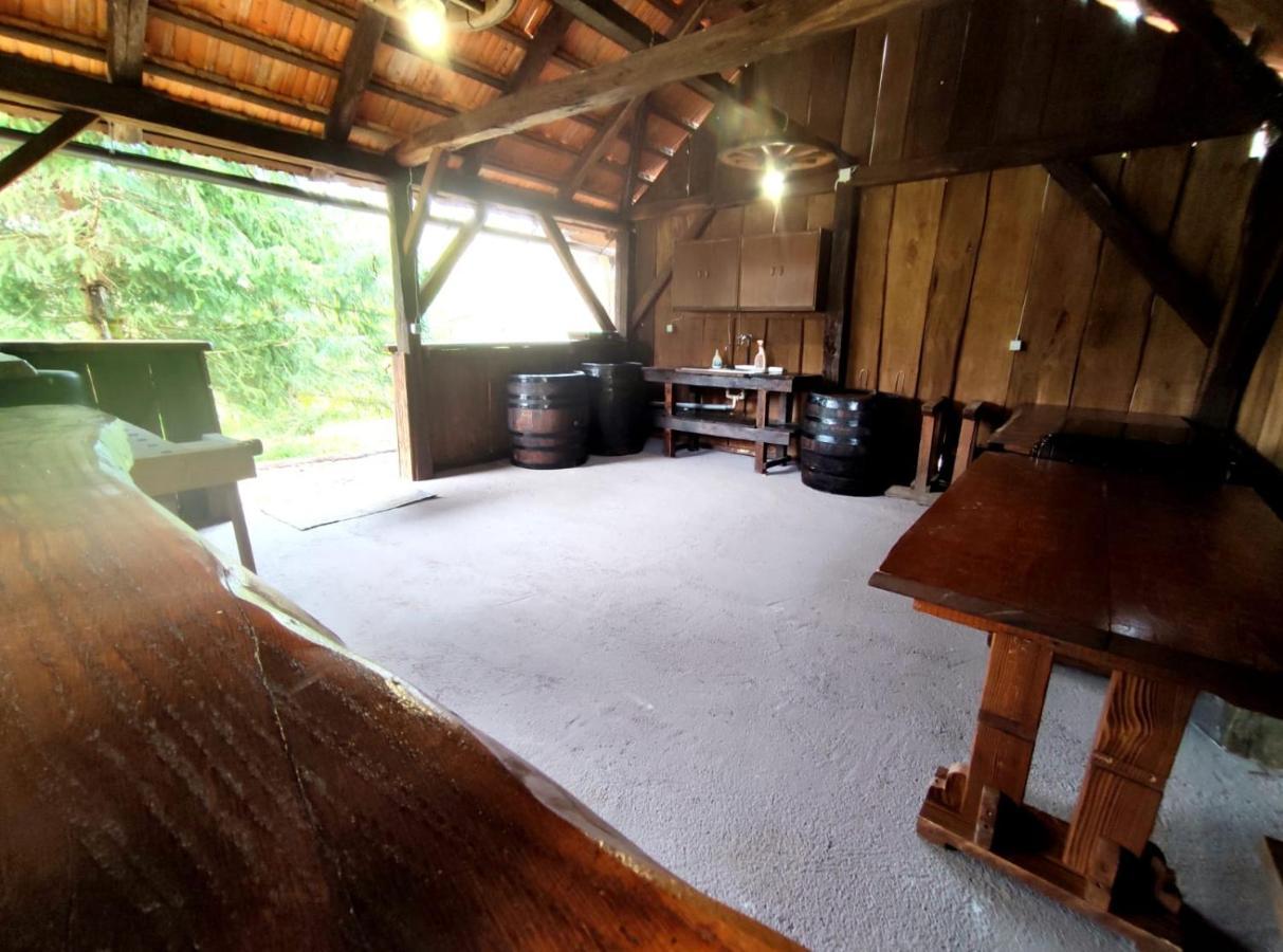 Vacation House Spiritus Flumine Netretic エクステリア 写真